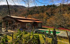 Feel & Live Hotel Villas Restaurant Sapanca